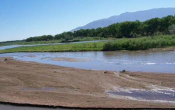 Interactions between humans and riparian forests in the southwestern U.S. are a CNH study subject.